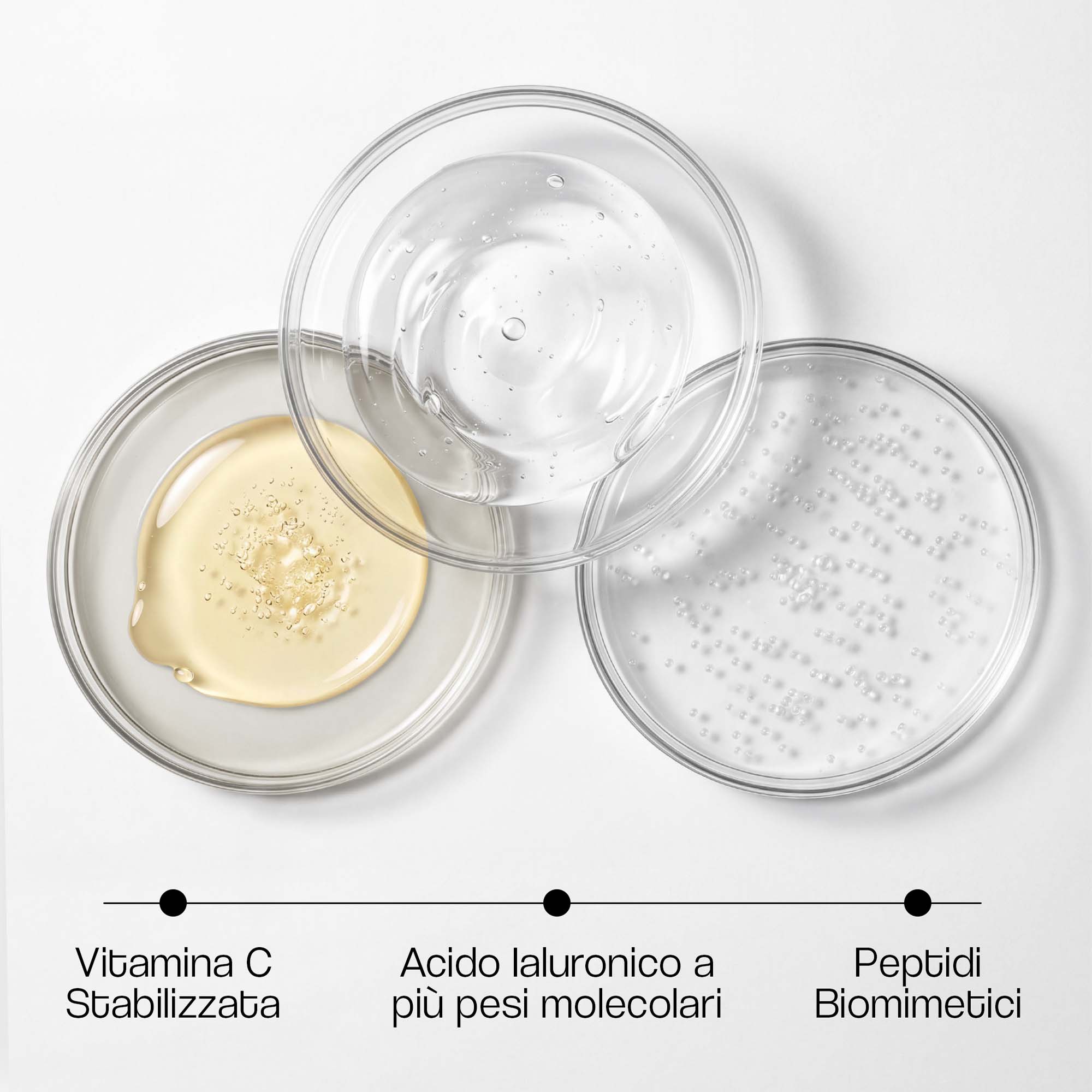 Visual degli attivi principali di BIOVITA C